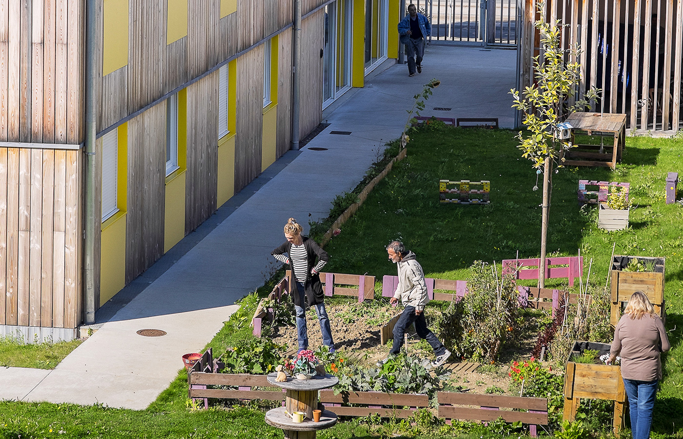 Photo d'un jardin collectif dans une résidence sociale